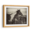 Besos De Caballos Ii - David Drost | Cuadro decorativo de Canvas Lab