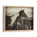 Besos De Caballos Ii - David Drost | Cuadro decorativo de Canvas Lab