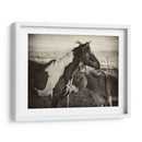 Besos De Caballos Ii - David Drost | Cuadro decorativo de Canvas Lab