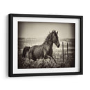 Caballo Corriendo - David Drost | Cuadro decorativo de Canvas Lab