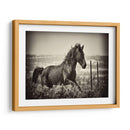 Caballo Corriendo - David Drost | Cuadro decorativo de Canvas Lab
