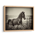 Caballo Corriendo - David Drost | Cuadro decorativo de Canvas Lab
