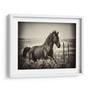 Caballo Corriendo - David Drost | Cuadro decorativo de Canvas Lab