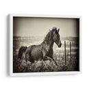 Caballo Corriendo - David Drost | Cuadro decorativo de Canvas Lab