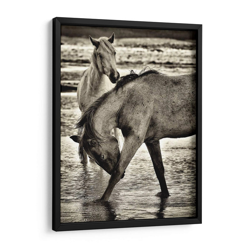 Caballos De Playa I - David Drost | Cuadro decorativo de Canvas Lab