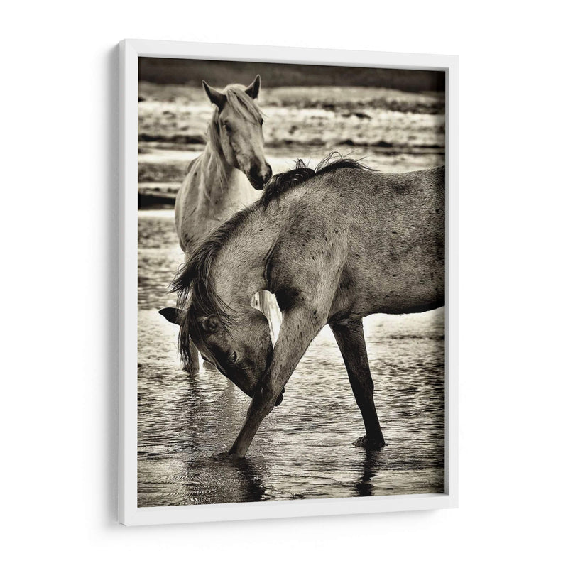 Caballos De Playa I - David Drost | Cuadro decorativo de Canvas Lab