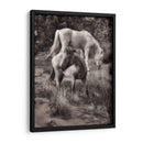 Caballos De Playa Ii - David Drost | Cuadro decorativo de Canvas Lab