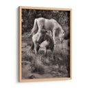 Caballos De Playa Ii - David Drost | Cuadro decorativo de Canvas Lab