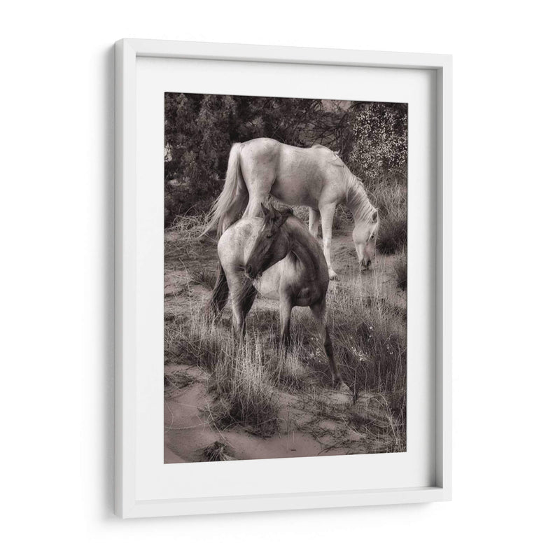 Caballos De Playa Ii - David Drost | Cuadro decorativo de Canvas Lab
