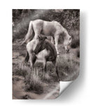 Caballos De Playa Ii - David Drost | Cuadro decorativo de Canvas Lab