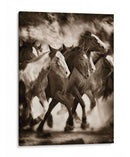 La Marcha - David Drost | Cuadro decorativo de Canvas Lab