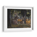 Otoño - Kevin Daniel | Cuadro decorativo de Canvas Lab