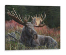 Moose Reclinable - Kevin Daniel | Cuadro decorativo de Canvas Lab