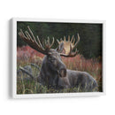 Moose Reclinable - Kevin Daniel | Cuadro decorativo de Canvas Lab