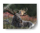 Moose Reclinable - Kevin Daniel | Cuadro decorativo de Canvas Lab