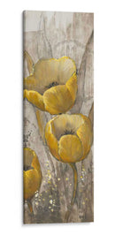 Tulipanes Ocres I I - Tim OToole | Cuadro decorativo de Canvas Lab