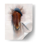 Retrato De Caballo I - David Drost | Cuadro decorativo de Canvas Lab