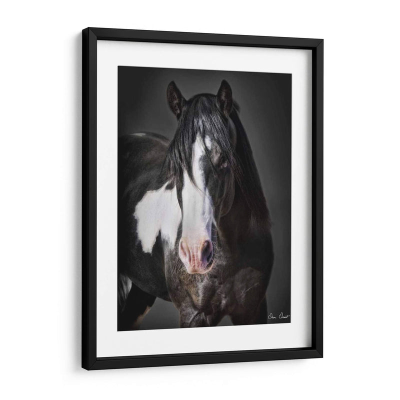 Caballo Retrato Ii - David Drost | Cuadro decorativo de Canvas Lab