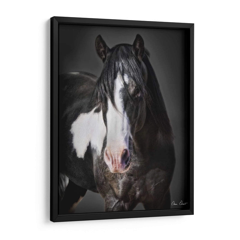 Caballo Retrato Ii - David Drost | Cuadro decorativo de Canvas Lab