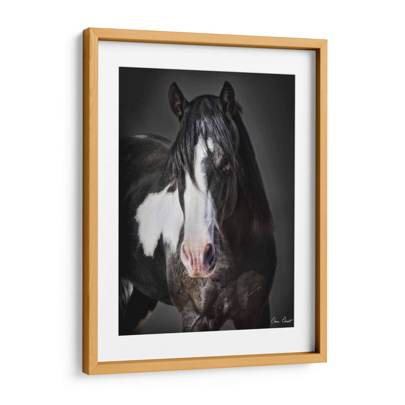 Caballo Retrato Ii - David Drost | Cuadro decorativo de Canvas Lab