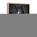 Caballo Retrato Ii - David Drost | Cuadro decorativo de Canvas Lab