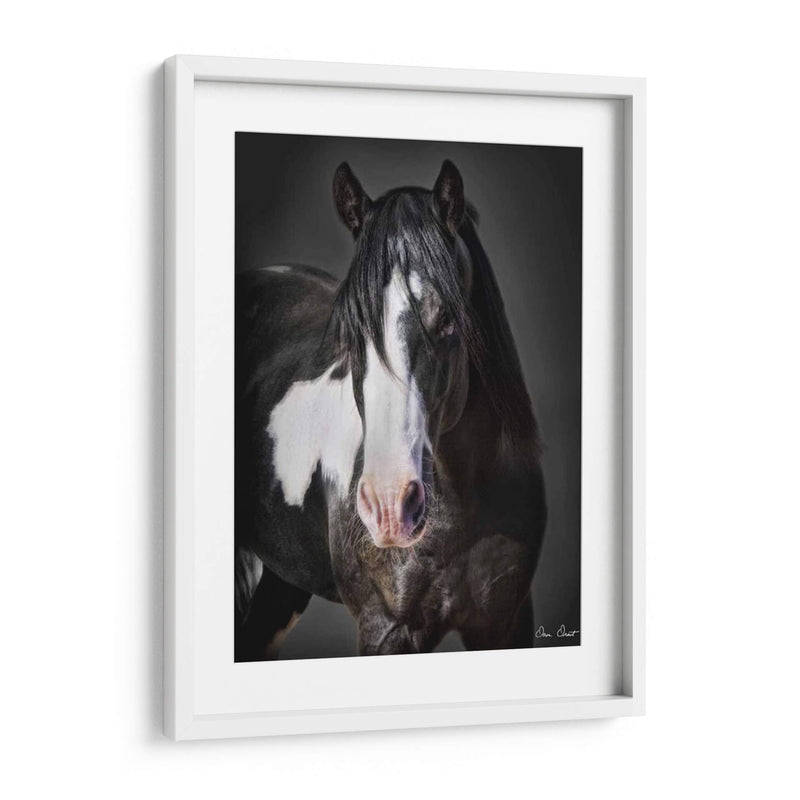 Caballo Retrato Ii - David Drost | Cuadro decorativo de Canvas Lab