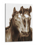 Caballo Retrato Iii - David Drost | Cuadro decorativo de Canvas Lab