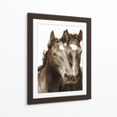Caballo Retrato Iii - David Drost | Cuadro decorativo de Canvas Lab