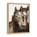 Caballo Retrato Iii - David Drost | Cuadro decorativo de Canvas Lab