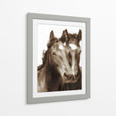 Caballo Retrato Iii - David Drost | Cuadro decorativo de Canvas Lab