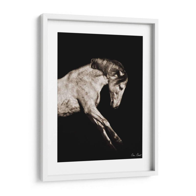 Retrato De Caballo Iv - David Drost | Cuadro decorativo de Canvas Lab