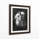 Retrato De Caballo V - David Drost | Cuadro decorativo de Canvas Lab