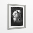 Retrato De Caballo V - David Drost | Cuadro decorativo de Canvas Lab