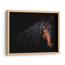 Retrato De Caballo Vii - David Drost | Cuadro decorativo de Canvas Lab