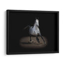 Caballo Retrato Ix - David Drost | Cuadro decorativo de Canvas Lab