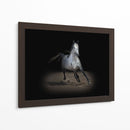 Caballo Retrato Ix - David Drost | Cuadro decorativo de Canvas Lab