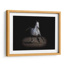 Caballo Retrato Ix - David Drost | Cuadro decorativo de Canvas Lab