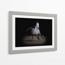 Caballo Retrato Ix - David Drost | Cuadro decorativo de Canvas Lab