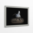 Caballo Retrato Ix - David Drost | Cuadro decorativo de Canvas Lab