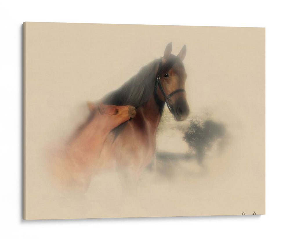 Retrato De Caballo X - David Drost | Cuadro decorativo de Canvas Lab