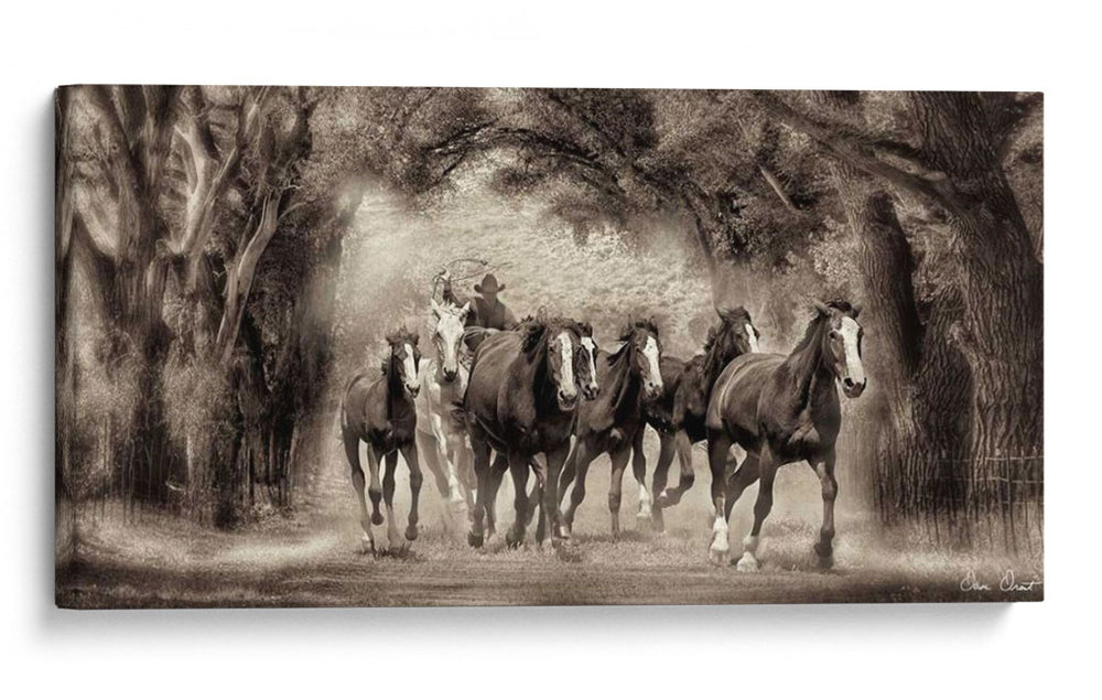 El Chase Ii - David Drost | Cuadro decorativo de Canvas Lab