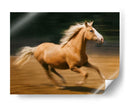 Caballo Ardiente I - David Drost | Cuadro decorativo de Canvas Lab