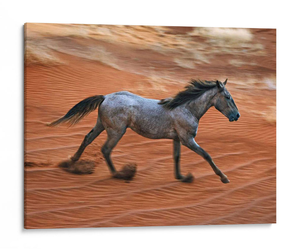 Caballo Ardiente Ii - David Drost | Cuadro decorativo de Canvas Lab