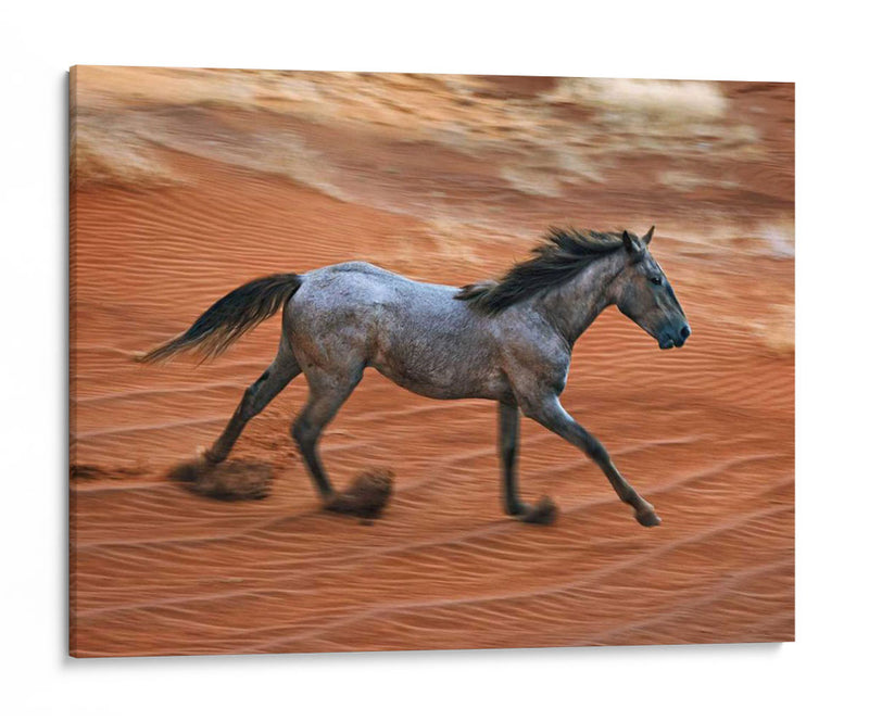 Caballo Ardiente Ii - David Drost | Cuadro decorativo de Canvas Lab