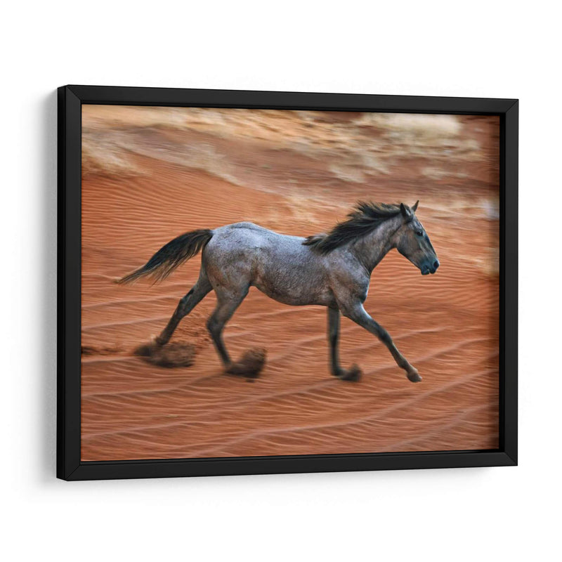 Caballo Ardiente Ii - David Drost | Cuadro decorativo de Canvas Lab