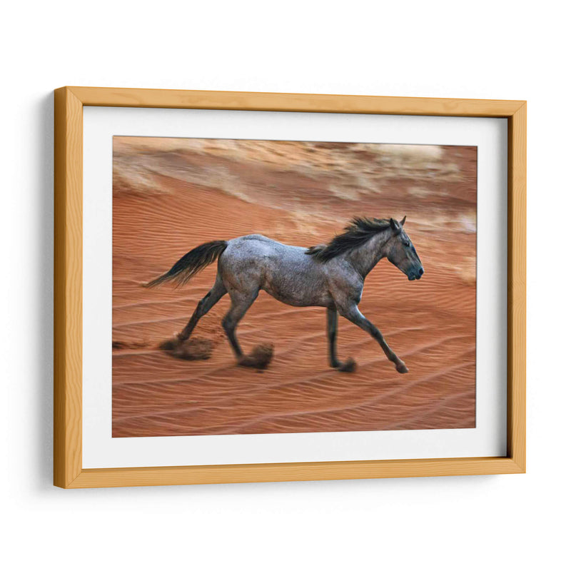Caballo Ardiente Ii - David Drost | Cuadro decorativo de Canvas Lab