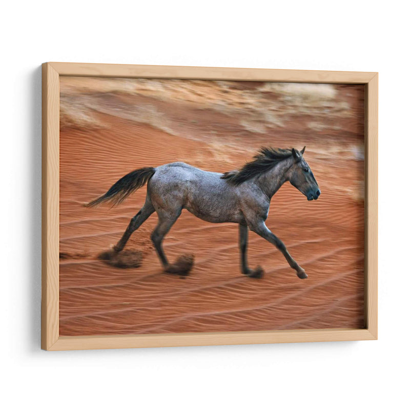 Caballo Ardiente Ii - David Drost | Cuadro decorativo de Canvas Lab