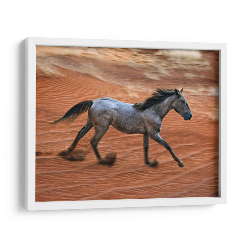 Caballo Ardiente Ii - David Drost | Cuadro decorativo de Canvas Lab