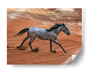 Caballo Ardiente Ii - David Drost | Cuadro decorativo de Canvas Lab