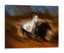 Caballo Ardiente Iii - David Drost | Cuadro decorativo de Canvas Lab